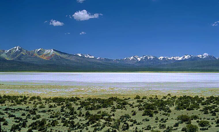 Andean Salt Flat